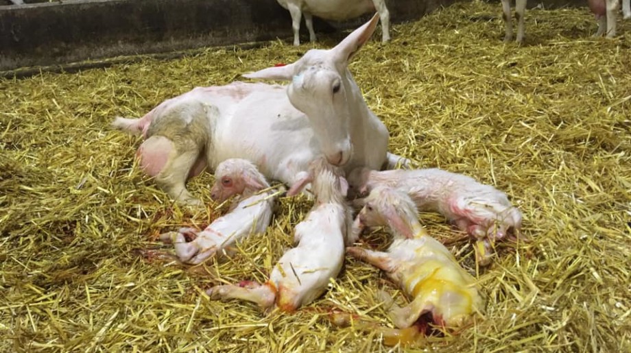 de Kempehoeve DUIZEL afbeelding 2 de Kempehoeve DUIZEL afbeelding 2